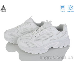 Кроссовки STILLI Group